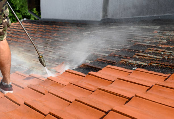 Best Affordable Power Washing  in Bowling Green, FL