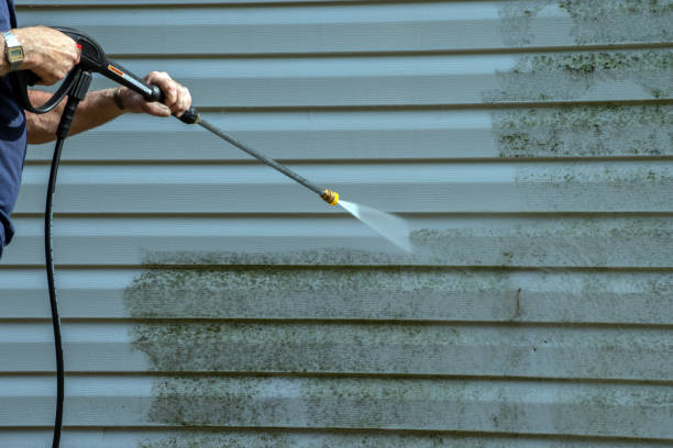 Best Residential Pressure Washing Services  in Bowling Green, FL