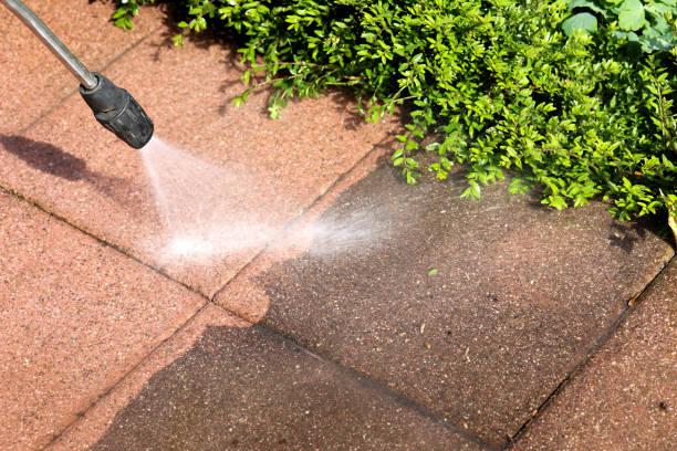 Best Roof Pressure Washing  in Bowling Green, FL